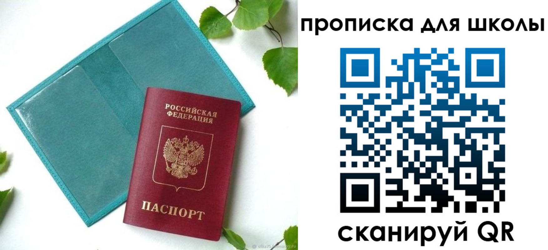 прописка в Зеленоградске